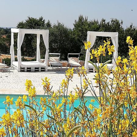 Marinelli Guest House 치스테르니노 외부 사진