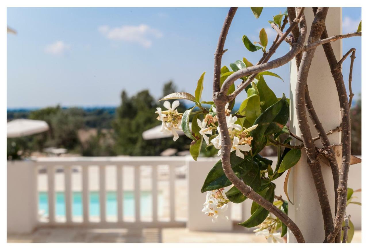 Marinelli Guest House 치스테르니노 외부 사진