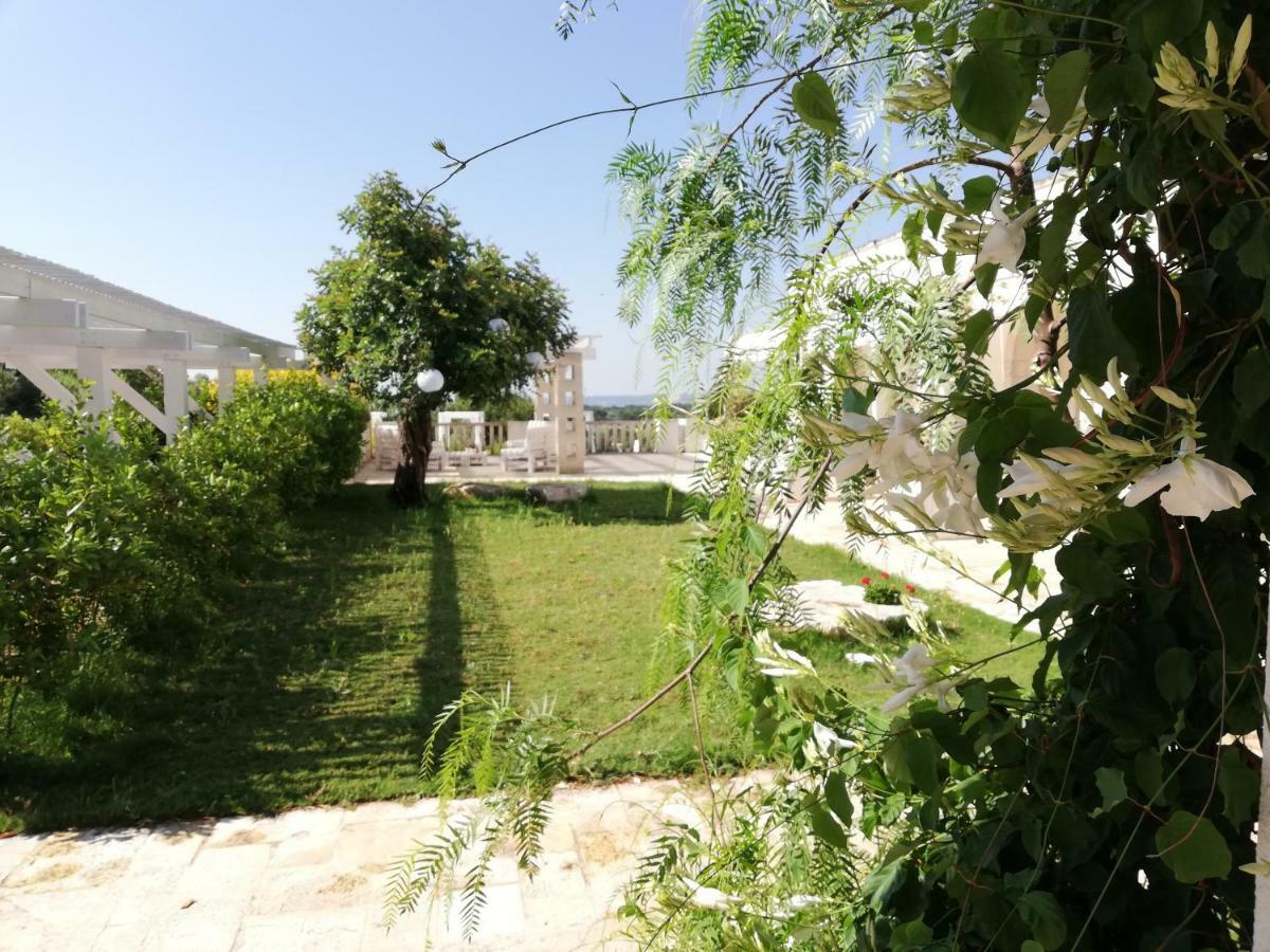 Marinelli Guest House 치스테르니노 외부 사진